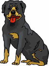 Rottweiler dog graphics