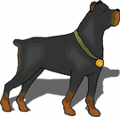 Rottweiler dog graphics