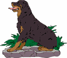 Rottweiler dog graphics