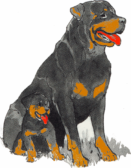 Rottweiler dog graphics