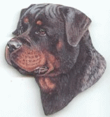 Rottweiler dog graphics