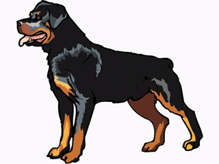 Rottweiler dog graphics