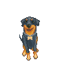 Rottweiler dog graphics