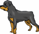 Rottweiler dog graphics