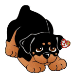 Rottweiler dog graphics