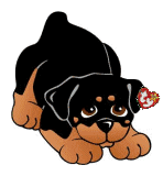 Rottweiler dog graphics