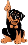 Rottweiler dog graphics