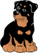 Rottweiler dog graphics