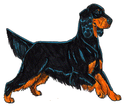 Setter dog graphics