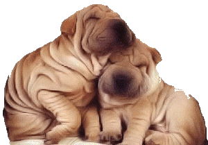 Shar pei dog graphics