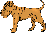 Shar pei dog graphics