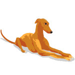 Sighthounds dog graphics