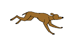 Sighthounds dog graphics
