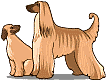 Sighthounds dog graphics