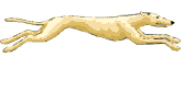 Sighthounds dog graphics
