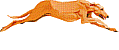 Sighthounds dog graphics