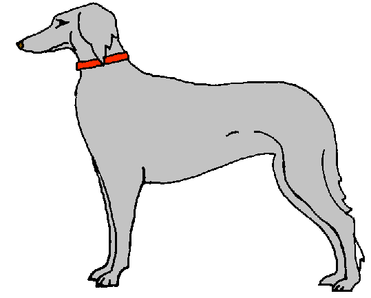 Sighthounds