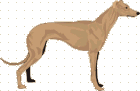 Sighthounds dog graphics