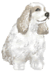 Spaniel dog graphics