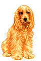 Spaniel dog graphics