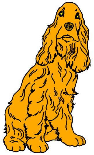 Spaniel