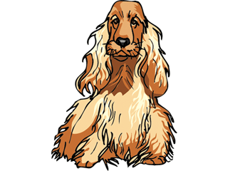 Spaniel dog graphics