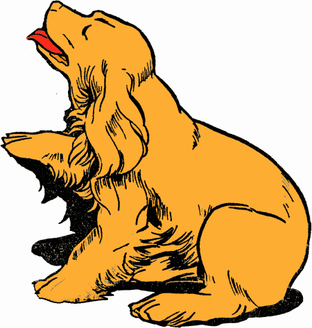 Spaniel dog graphics