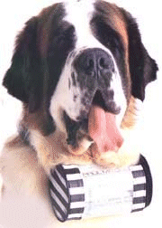 St bernard dog graphics