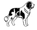 St bernard dog graphics