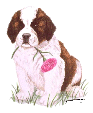 St bernard