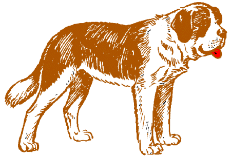 St bernard dog graphics