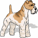 Terriers dog graphics