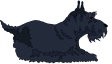 Terriers dog graphics