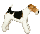 Terriers dog graphics