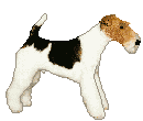 Terriers dog graphics