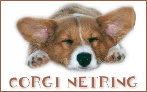 Welsh corgi dog graphics