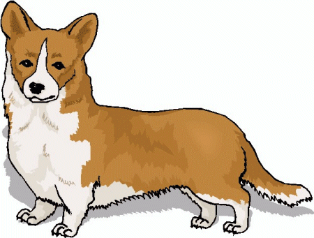 Welsh corgi dog graphics