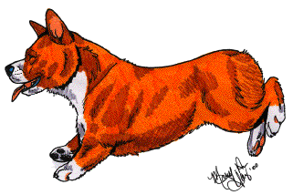Welsh corgi dog graphics