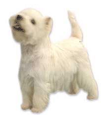 Westie dog graphics