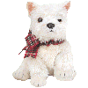 Westie dog graphics