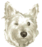 Westie dog graphics