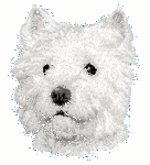 Westie dog graphics