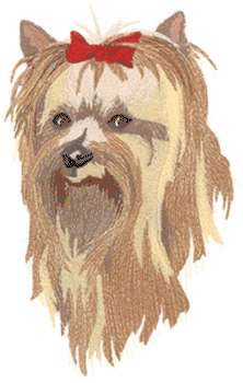 Yorkshire terrier dog graphics