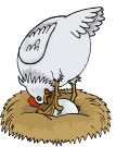 Chickens easter graphics