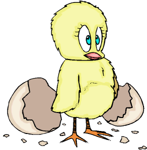 Chicks easter graphics