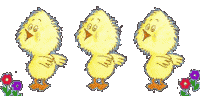 Chicks easter graphics