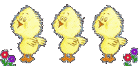 Chicks easter graphics