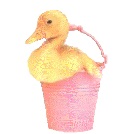 Chicks easter graphics