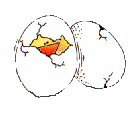 Eggs easter graphics