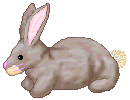Hares easter graphics